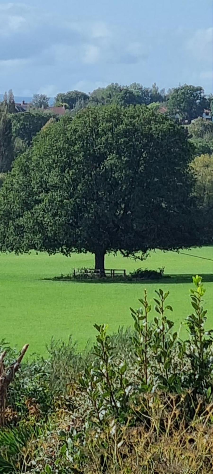 Ross-On-Wye Holiday Cottage ภายนอก รูปภาพ